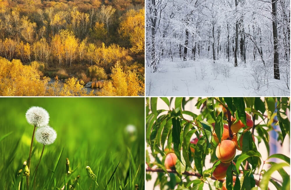Best Sermon Series Graphics for Easter, Christmas, and Other Key Seasons